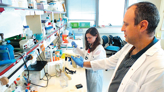 Prof. Yaron Shav-Tal and biology student Chavi Cohen are at work in Bar-Ilan University.
